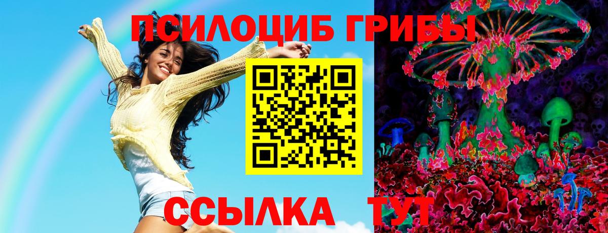 Светлоград  Псилоцибиновые грибы MAGIC MUSHROOMS  продажа наркотиков  Вход с VPN  Псилоцибиновые грибы мухоморы 